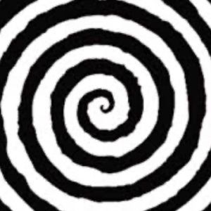 Meet your Posher, Lily